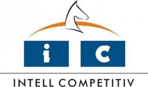 Curs: Profilul Competitorului de la Intellcompetitiv