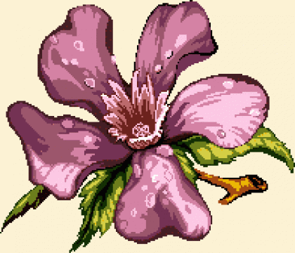 Goblen - Orhidee de la Hudema's S.r.l.