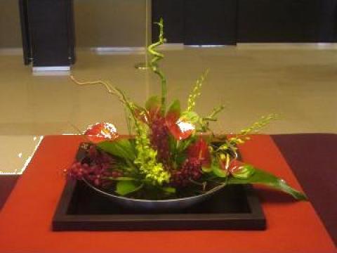 Aranjament floral Ikebana de la Oancea I. Manuela Lucia
