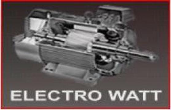 Motor electric de la Electro Watt
