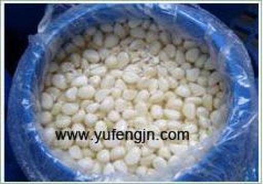 Condiment alimentar Salted garlic de la Jining Yufeng International Trade Co., Ltd.