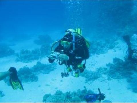 Cursuri de scufundari, scuba diving Naui
