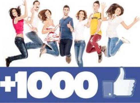 Servicii marketing 1000 de fani pe Facebook