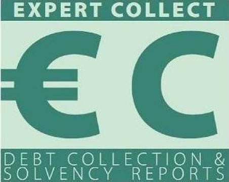 Elaborare rapoarte bonitate/solvabilitate de la Expert Collect Srl