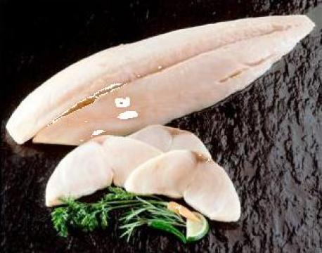 File de Oilfish de la Expert Factor Foods Srl