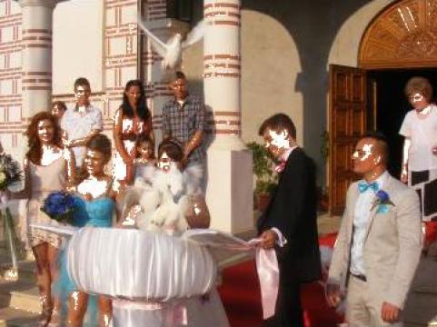 Porumbei albi nunta Galati Braila