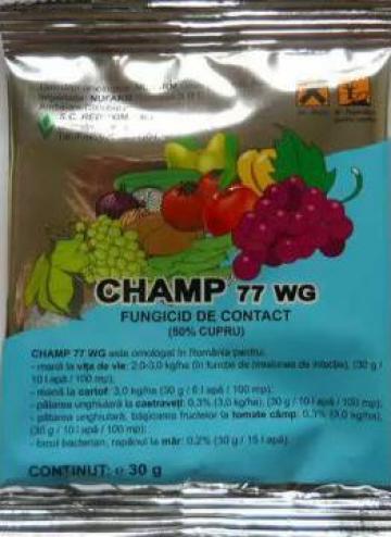 fungicid champ 77 wg
