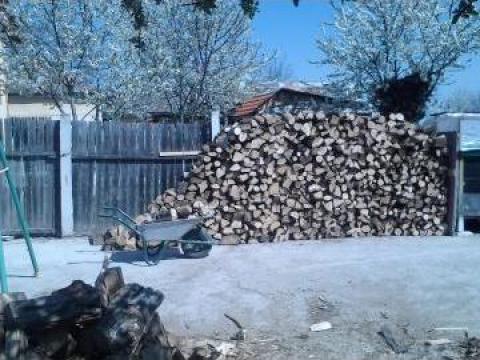 Lemn de foc si lemn de lucru de la Sc Birucea Srl