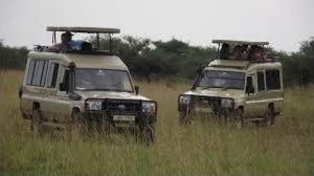 Excursii safari Kenya Tanzania, Uganda Safari Tour Pavkages de la East Africa Safari Bookers