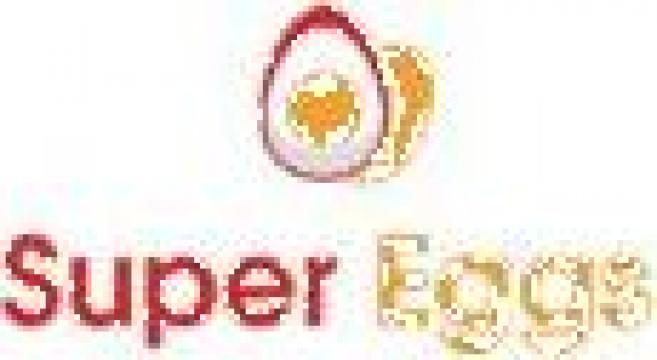 Oua pasteurizate de la Sc Super Eggs Srl