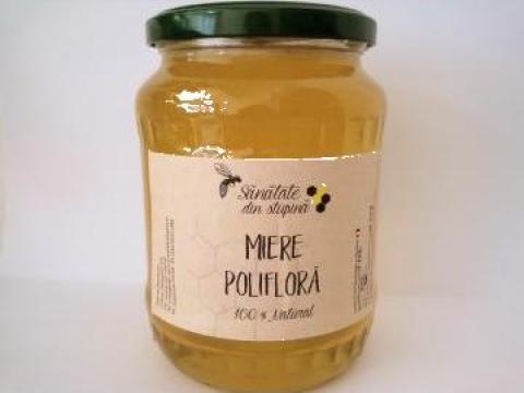 Miere naturala de albine sortiment poliflora de munte de la Cherciu I. Madgalina PFA