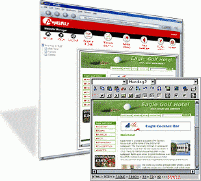 Servicii de administrare online site-uri de la Ava - Asistenta Virtuala