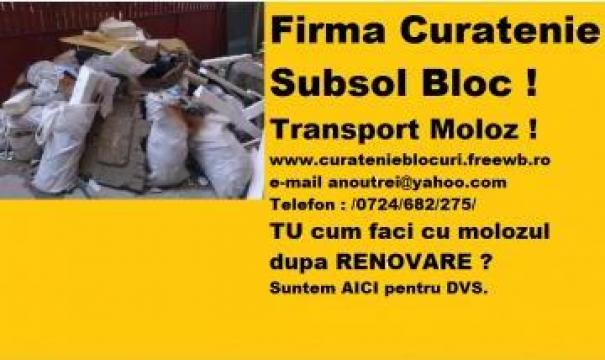 Transport moloz, mobila, sac de la Curatenie Subsol Lupulescu Robert