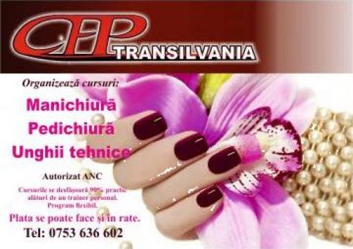 Curs manichiura-pedichiura unghii false de la Transilvania Cursuri De Formare Profesionala Srl