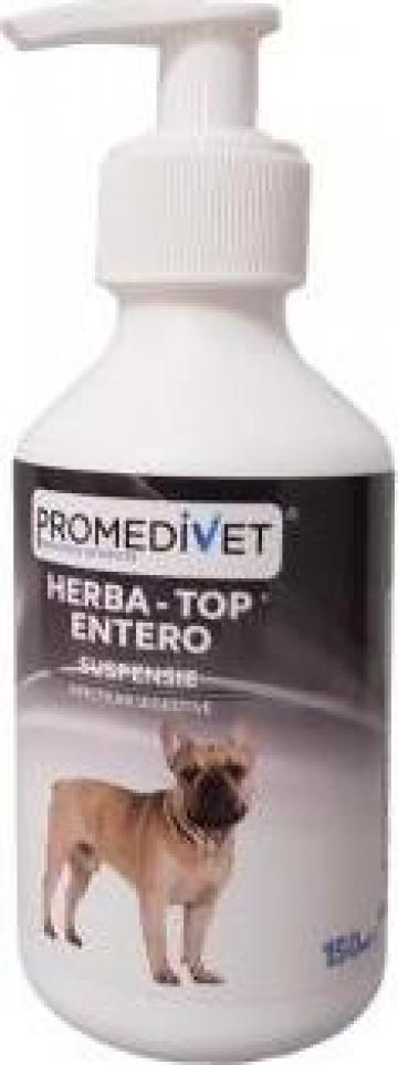 Suspensie uz veterinar Herba-Top Entero 150 ml