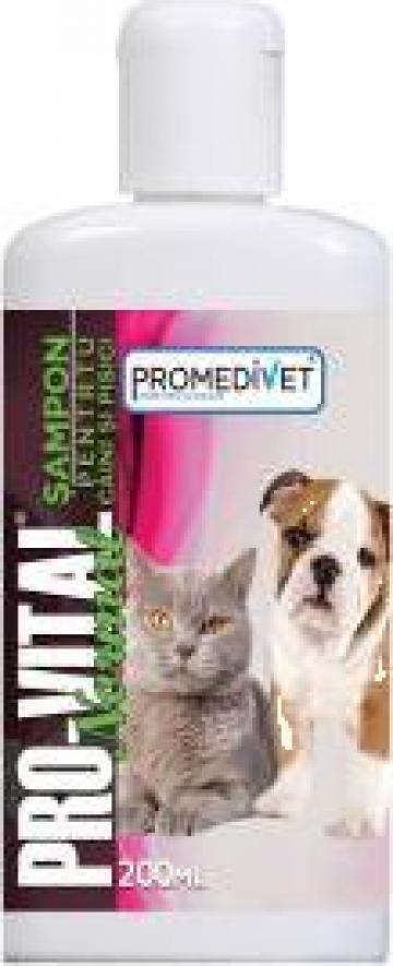 Sampon normal pentru caini si pisici Pro-Vital de la Promedivet