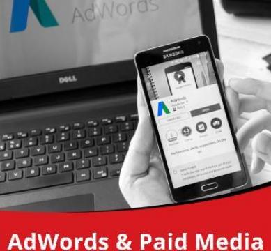 Servicii AdWords & Paid Media ( PPC )