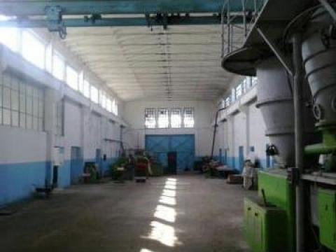 Hala industriala + teren aferent Constanta, M. Kogalniceanu