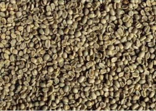 Cafea verde Guatemala Huehuetenango 19/20, Arabica 100% de la Kestar Coffee Srl