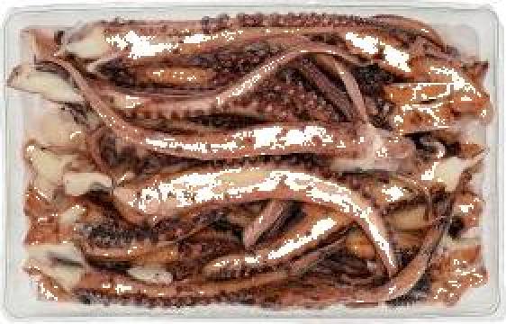Tentacule calamar prefierte 1 kg de la Groenlanda Serv Srl
