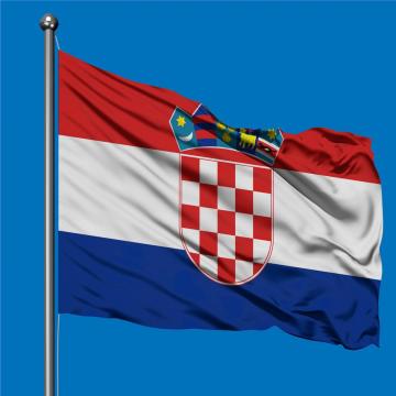 Steag Croatia de la Color Tuning Srl
