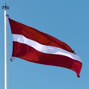 Steag Letonia de la Color Tuning Srl