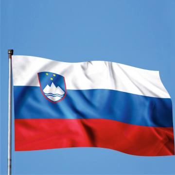 Steag Slovenia de la Color Tuning Srl
