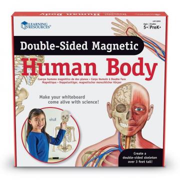 Jucarie Corpul uman - set magnetic