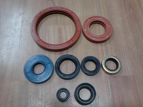 Simering 19X40x10 Tc BM
