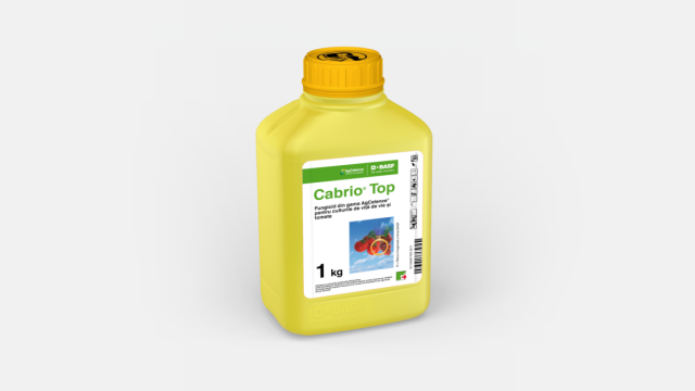 Fungicid Cabrio Top 1 kg de la Elliser Agro Srl