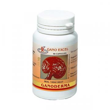 Supliment alimentar Ganoderma Lucidum 90 capsule de la Pfa Florea Florin Robertino