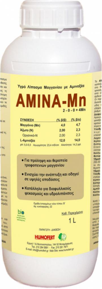 Ingrasamant lichid pe baza de mangan Amina Mn de la Lencoplant Business Group SRL