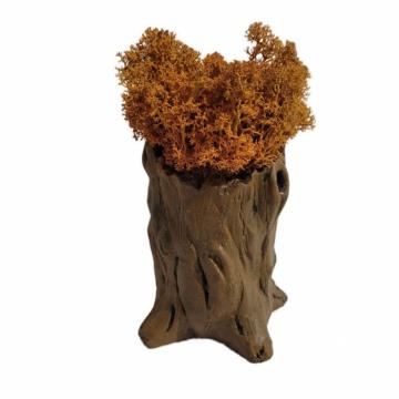 Aranjament licheni ghiveci decorativ orange M9 de la Decor Creativ