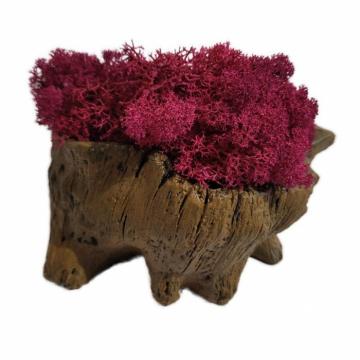 Aranjament licheni ghiveci decorativ roz M3