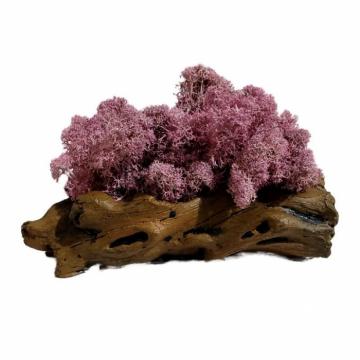 Aranjament licheni ghiveci decorativ multicolor M2 de la Decor Creativ