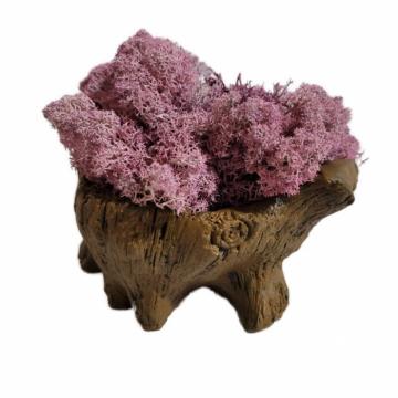 Aranjament licheni ghiveci decorativ multicolor M3 de la Decor Creativ