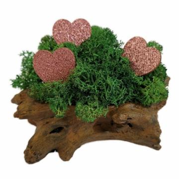Aranjament licheni ghiveci decorativ verde inimioare M9 de la Decor Creativ