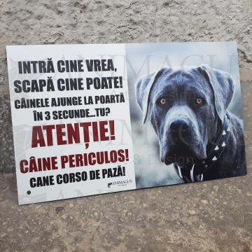 Placa avertizare Cane Corso - Ajunge in 3 secunde!