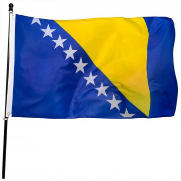 Steag Bosnia Hertegovina de la Color Tuning Srl