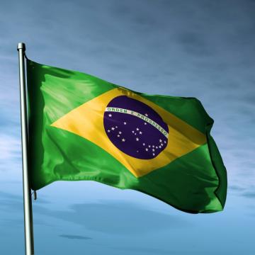Steag Brazilia de la Color Tuning Srl