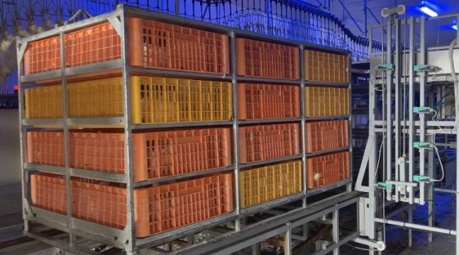 Container transport pui de la Egea Invest S.r.l