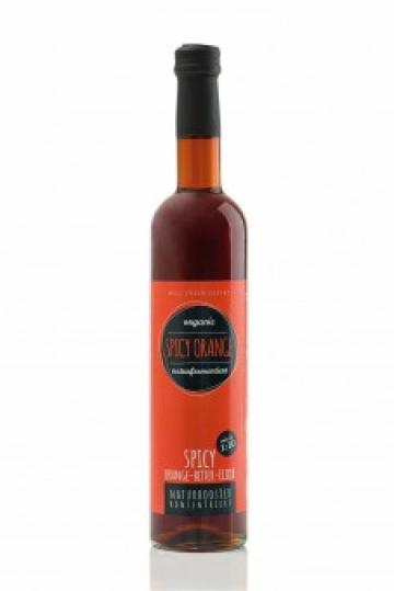 Elixir de portocala, picant, bio, 500ml, Retter