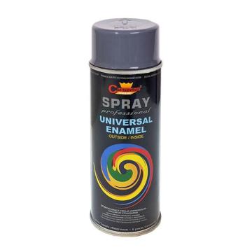 Spray vopsea 400ml Gri Inchis RAL7024 Champion Color de la Auto Care Store Srl