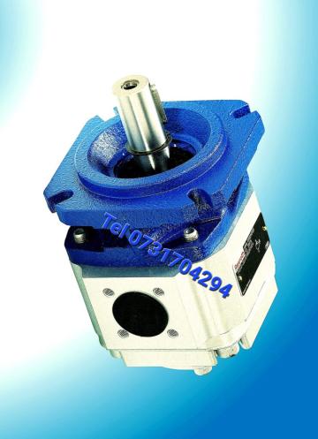 Pompe hidraulice Rexroth PGP2-2X/006RJ20VU2 R900984018