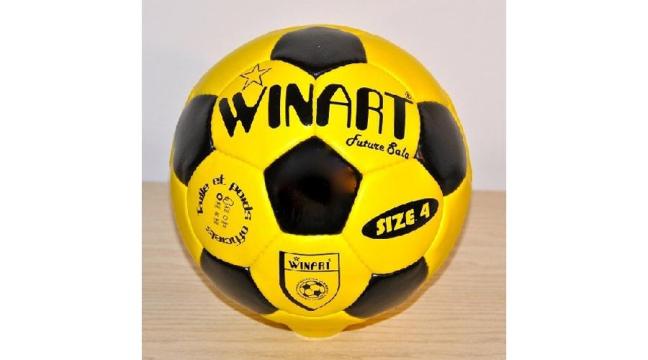 Minge de futsal Winart Future Sala