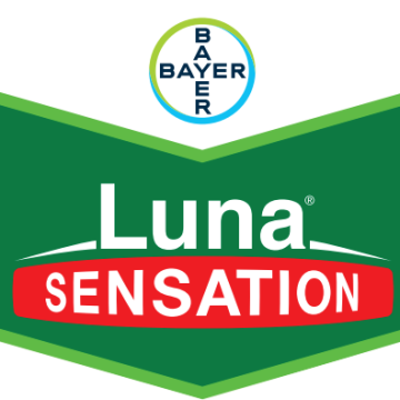 Fungicid Luna Sensation 500SC, 5 litri, Bayer de la Dasola Online Srl