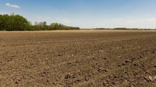 Teren agricol in comuna Leu din judetul Dolj, 3 hectare de la Kmp S.r.l.