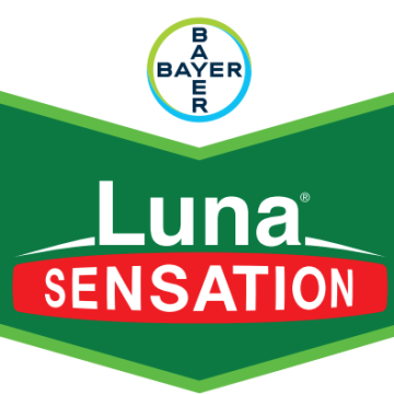 Fungicid Luna Sensation 500SC, 5 litri, Bayer