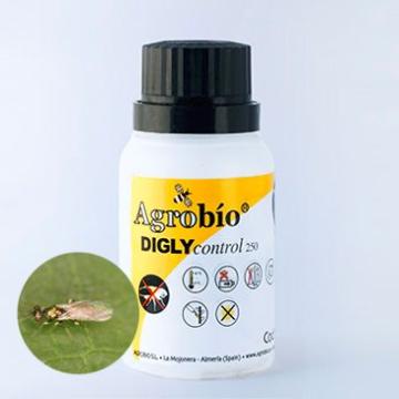 Pradator musca miniera, Diglycontrol, 250 indivizi, Agrobio de la Dasola Online Srl