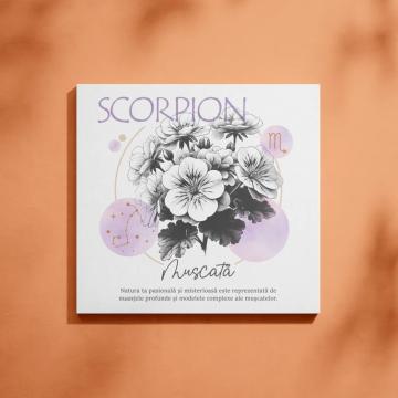 Tablou canvas Scorpion - Floarea muscata de la The Darwin Project Srl